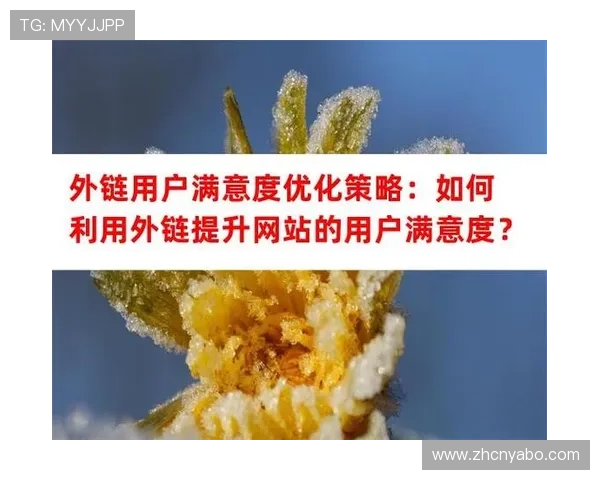 亚博:实现个性化推荐提升用户满意度的有效策略
